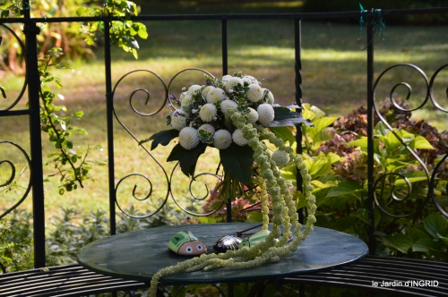 Belves puces,jardin,cygnes,bouquet blanc,arrosage 110.JPG