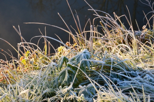 givre,maison,oiseaux 046.JPG
