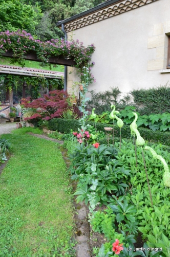fin mai jardin 071.JPG
