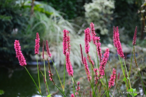 jardin de Thiérry lecetre,mon jardin apres tonte 002.JPG
