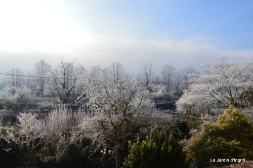 givre,maison,oiseaux 108.JPG