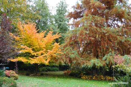 les arbres en automne,cabane 029.JPG