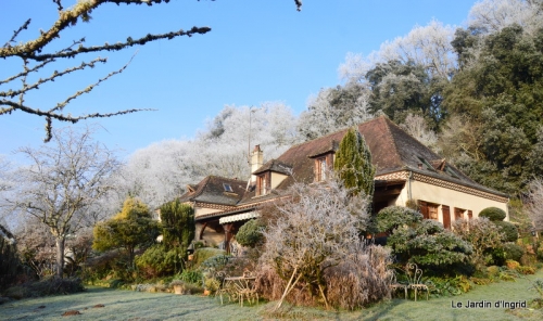 givre,maison,oiseaux 100.JPG