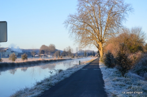 givre,maison,oiseaux 038.JPG