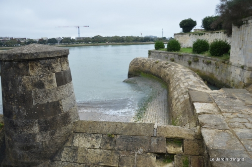 la rochelle,le chateau de la roche courbon; 111.jpg