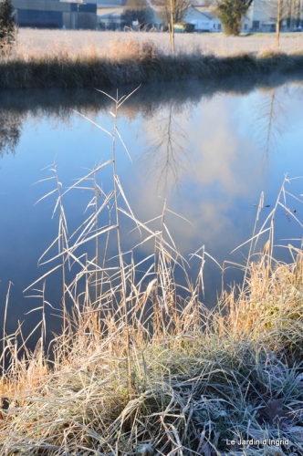 givre,maison,oiseaux 051.JPG