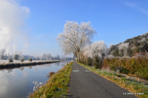 givre,maison,oiseaux 112.JPG