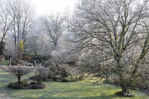 givre,maison,oiseaux 106.JPG