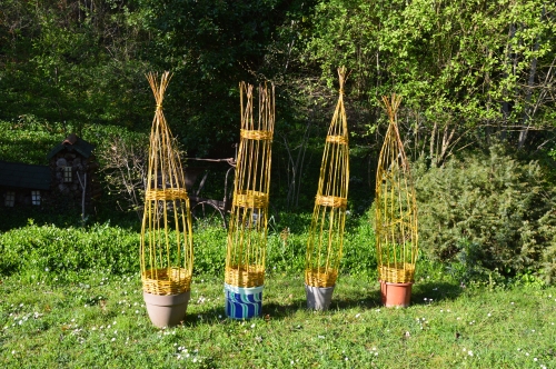 DSC_0414 - Copie (2).JPG