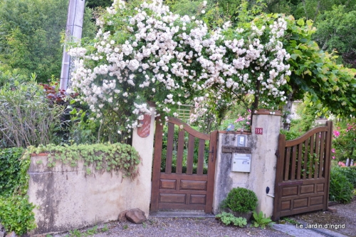jardin en mai 391.JPG