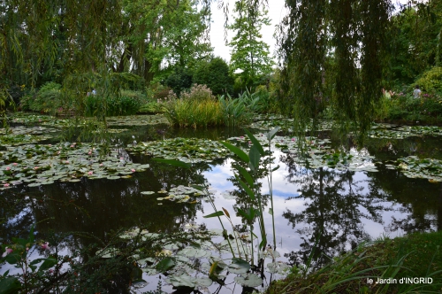 bouquet,jardin de Monet,les vaches,Pourville sur mer 137.jpg