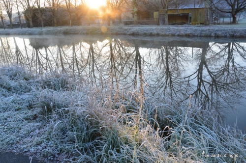 givre,maison,oiseaux 039.JPG