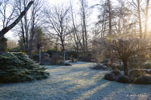 givre,maison,oiseaux 059.JPG