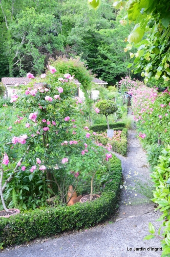jardin en mai 395.JPG