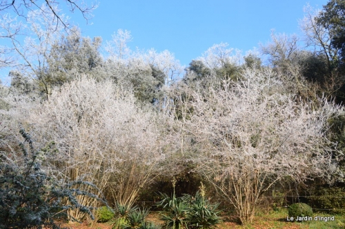 givre,maison,oiseaux 088.JPG