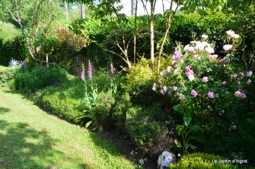 jardin en mai 371.JPG