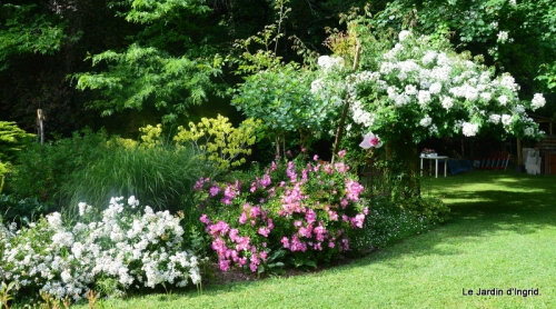 jardin en mai 408.JPG
