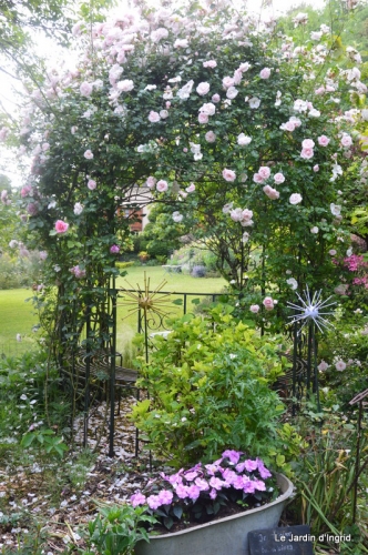 Ciron,jardin en mai,les filles piscine,Domme,roses 205.JPG