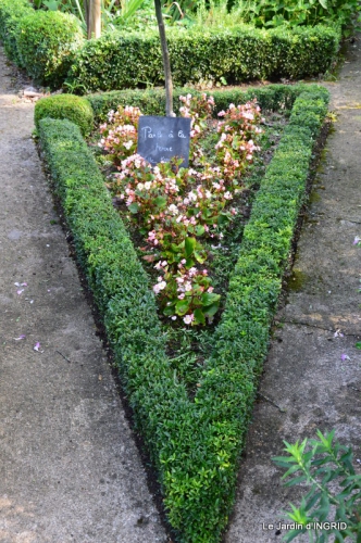 confiture,bouquet,petit jardin 007.JPG