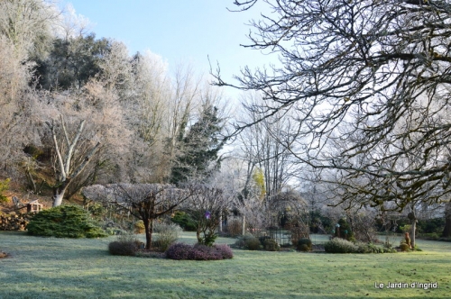 givre,maison,oiseaux 102.JPG