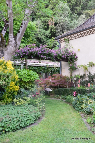 jardin en mai 362.JPG