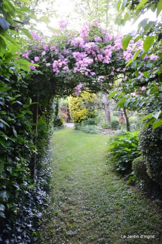 jardin en mai 389.JPG