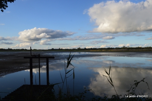 la Sedelle,étang de Riault,cyclamens 146.JPG